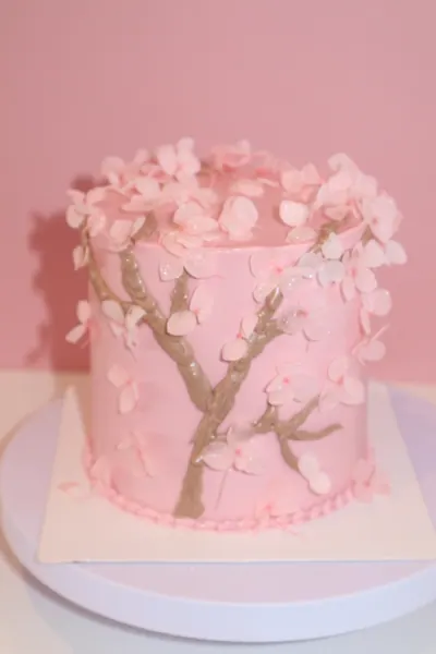 Rosa kage med blomster og gyldne grene